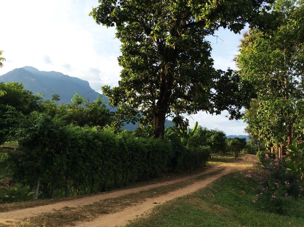 Yang Tone Farm Stay Chiang Dao Buitenkant foto