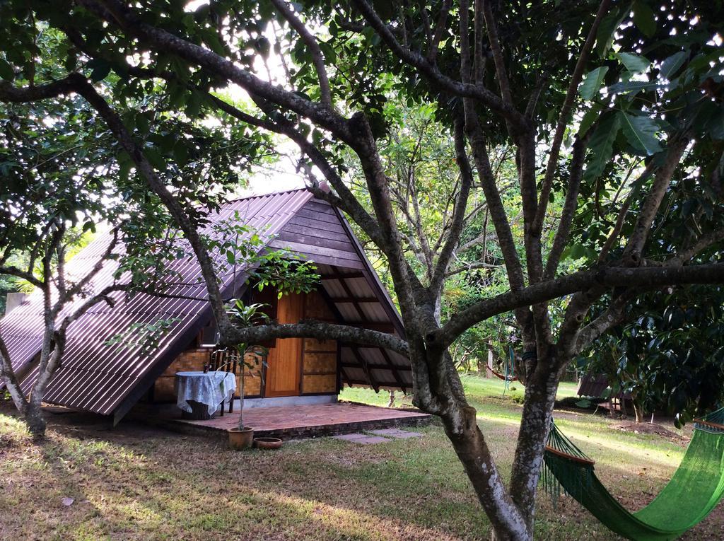 Yang Tone Farm Stay Chiang Dao Kamer foto