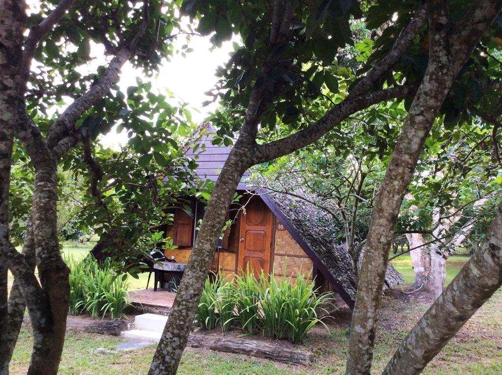 Yang Tone Farm Stay Chiang Dao Kamer foto