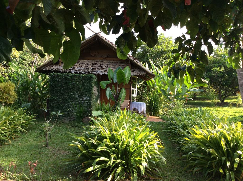 Yang Tone Farm Stay Chiang Dao Kamer foto