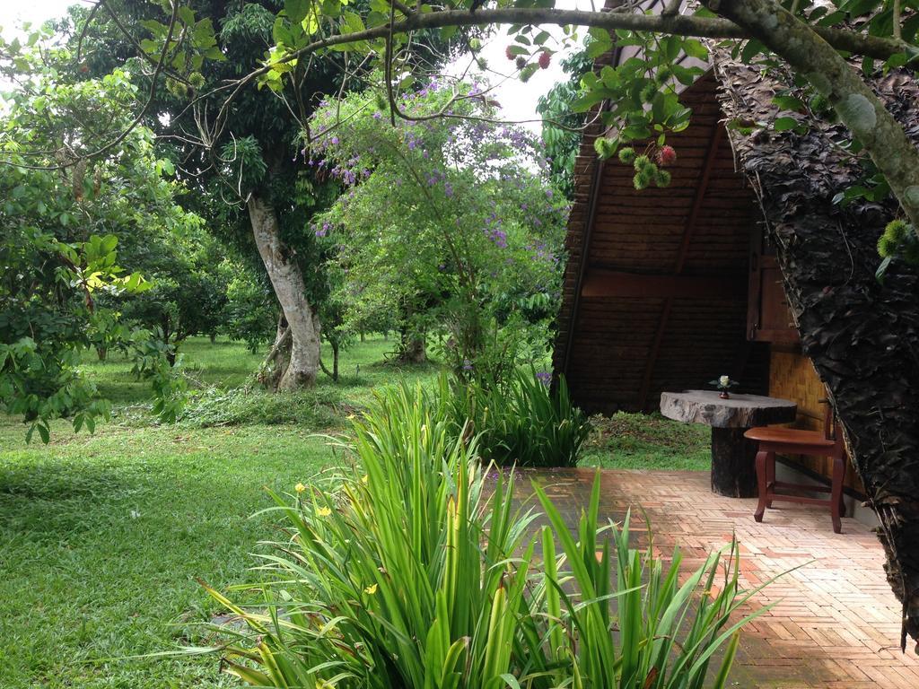 Yang Tone Farm Stay Chiang Dao Kamer foto