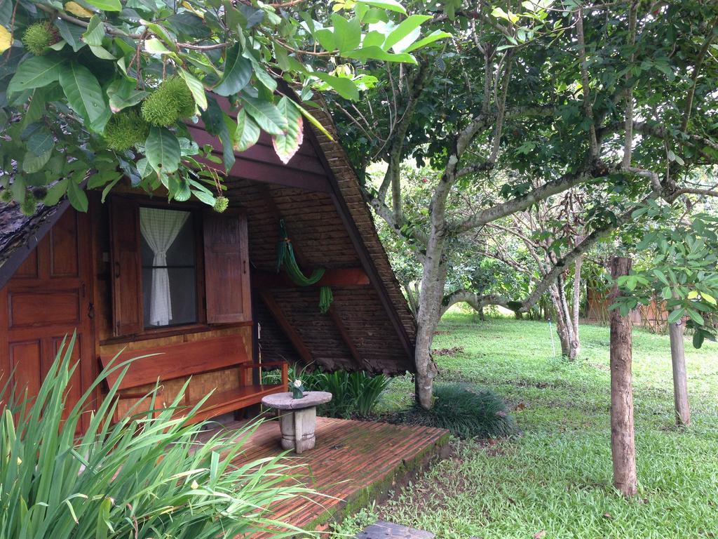 Yang Tone Farm Stay Chiang Dao Kamer foto