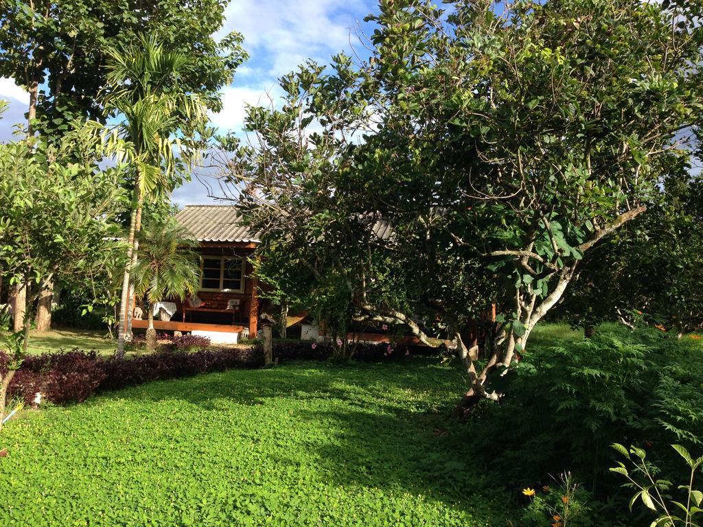 Yang Tone Farm Stay Chiang Dao Kamer foto