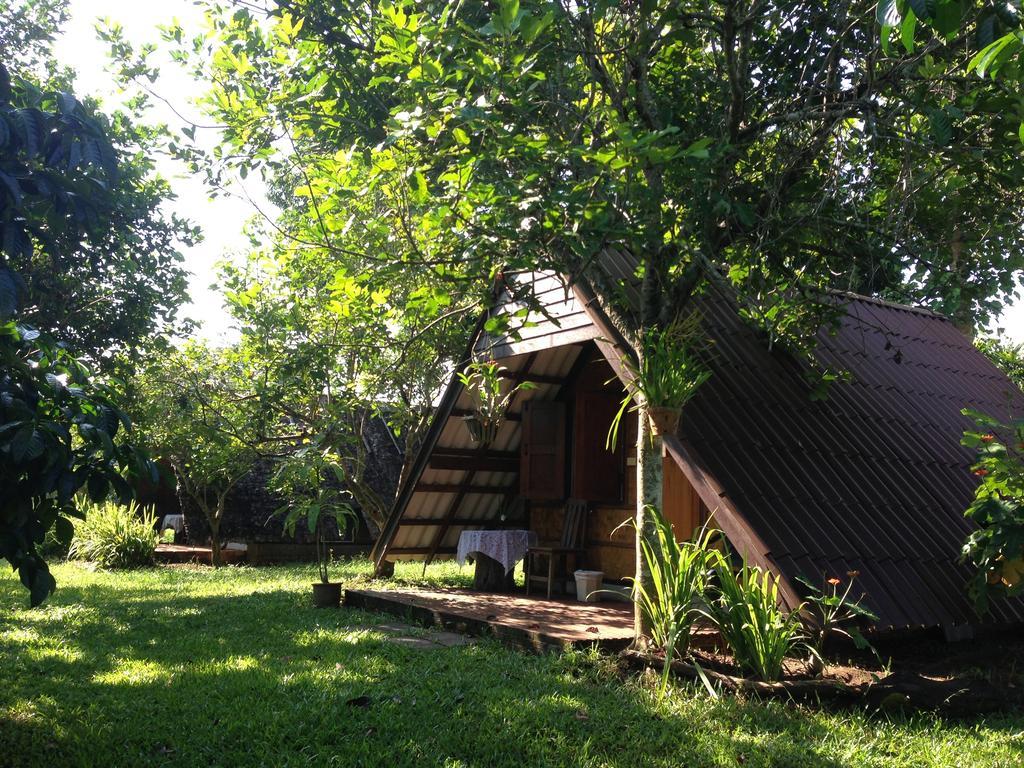 Yang Tone Farm Stay Chiang Dao Kamer foto