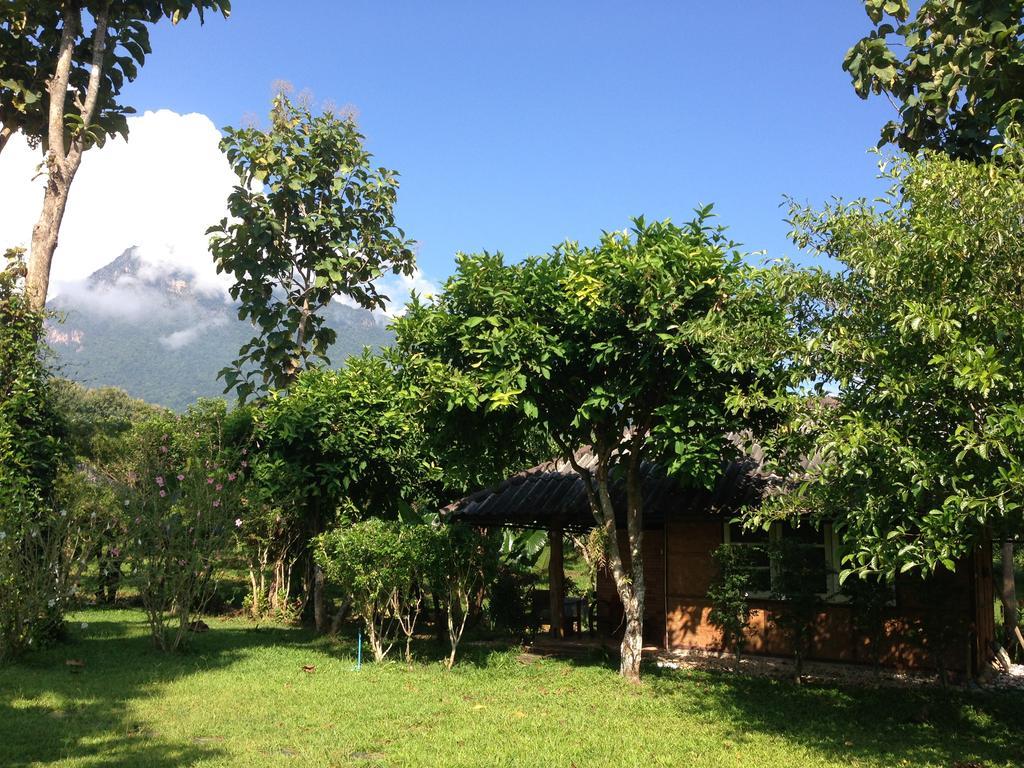 Yang Tone Farm Stay Chiang Dao Kamer foto