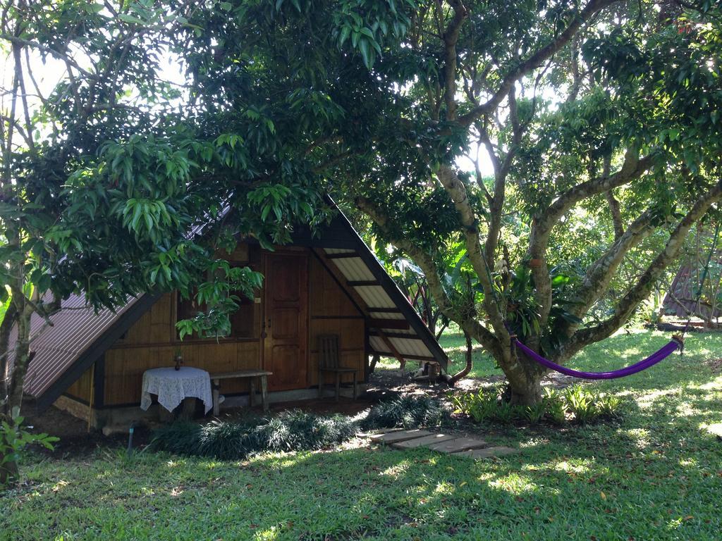 Yang Tone Farm Stay Chiang Dao Kamer foto
