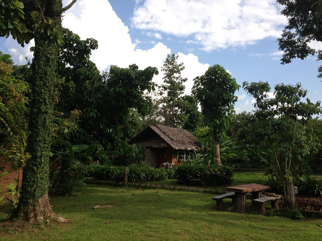 Yang Tone Farm Stay Chiang Dao Kamer foto