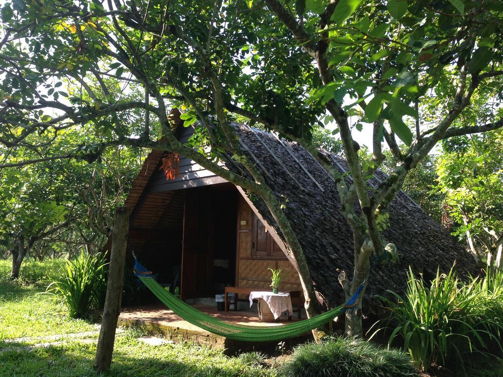 Yang Tone Farm Stay Chiang Dao Kamer foto