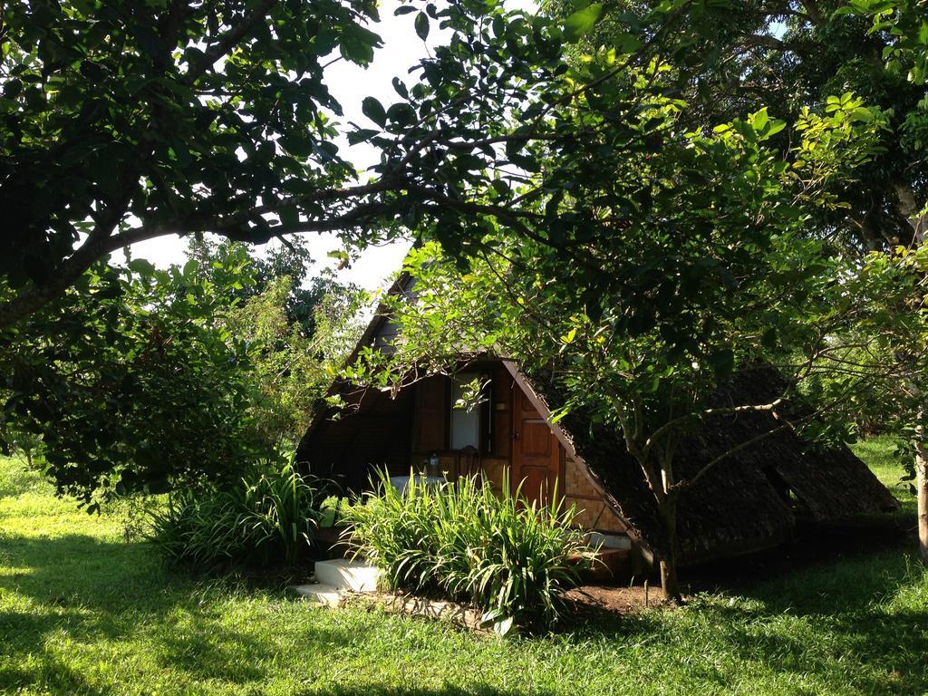 Yang Tone Farm Stay Chiang Dao Kamer foto