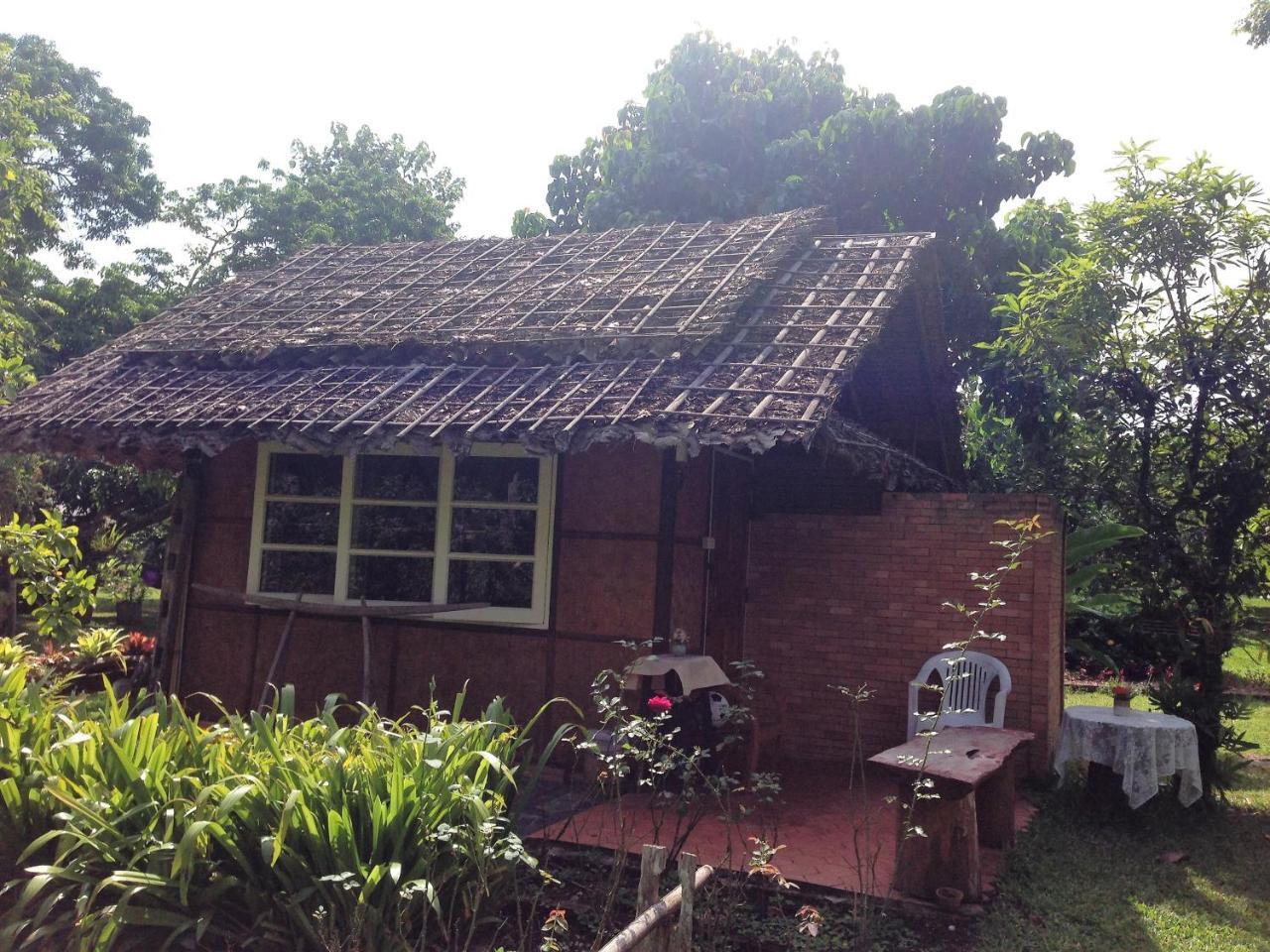 Yang Tone Farm Stay Chiang Dao Buitenkant foto