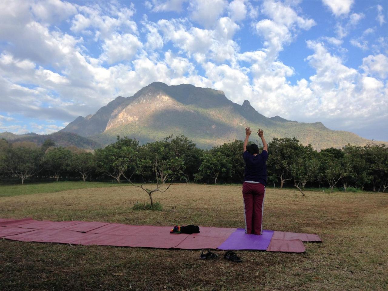 Yang Tone Farm Stay Chiang Dao Buitenkant foto